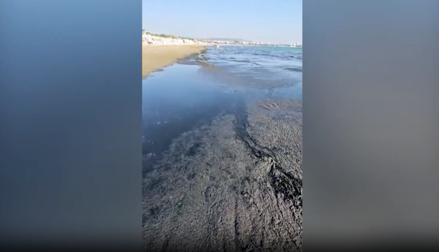 Блогер показал, как море в Анапе заросло водорослями, а берег покрылся ...