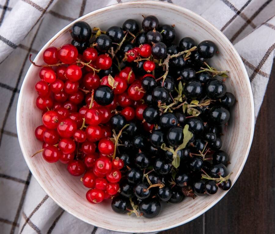 14 июля отмечается День смородины. Фото © Freepik / stockking