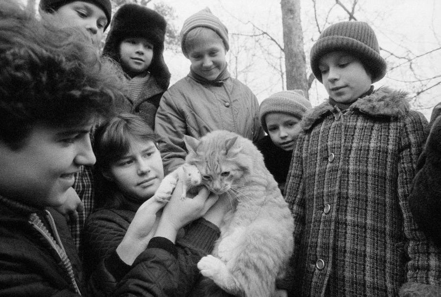 Кошки в советской культуре: 10 исторических кадров, вдохновляющих на любовь к милашкам. Фото © ТАСС / Марис Берсонс
