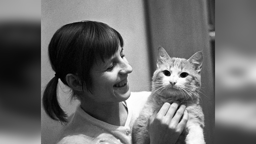 Как кошки стали частью советской культуры: 10 интересных фото из архивов. Фото © ТАСС / Виталий Созинов