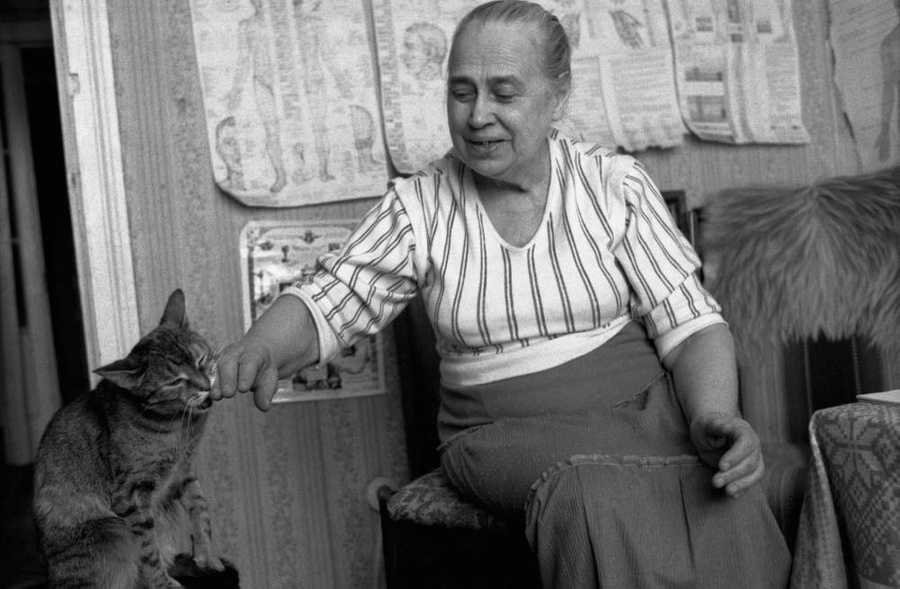 Какие кошки жили в СССР? 10 архивных снимков. Фото © ТАСС / Христофоров Валерий