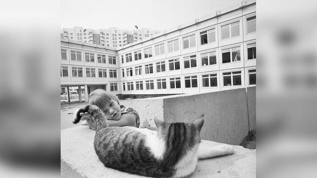 Каких кошек обожали в СССР. Фото © ТАСС / Игорь Зотин