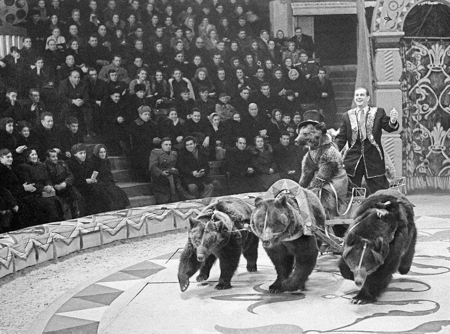 Атмосфера уникальных цирковых выступлений СССР в 10 кадрах. Фото © ТАСС / Леонид Великжанин 