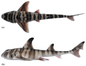 Новый вид акулы Heterodontus marshallae: вид сверху (а) и сбоку (б). Фото © Diversity