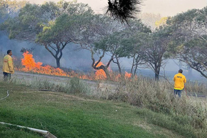 Адское пламя на райских островах: Природные пожары унесли жизнь 53 человек на Гавайях