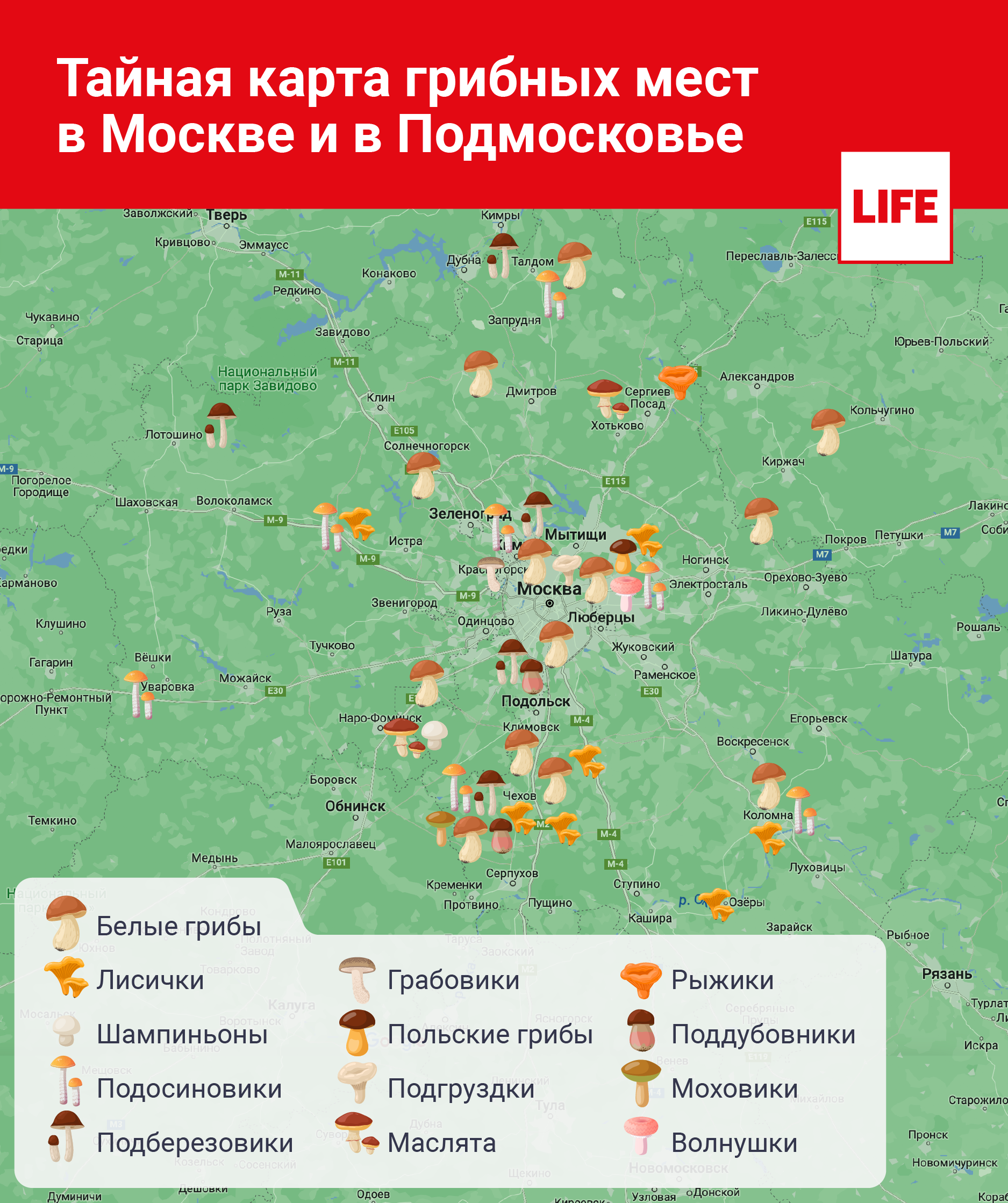 Тайная карта грибных мест в Москве и в Подмосковье. Инфографика © LIFE