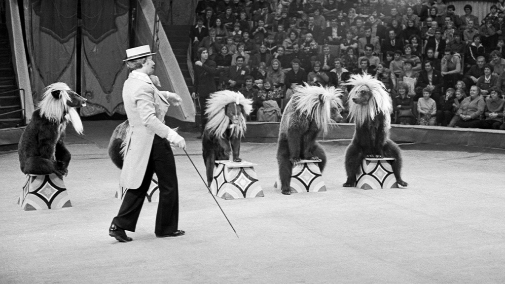 10 архивных фото из советских цирков, которые напомнят, какие шоу устраивали в СССР