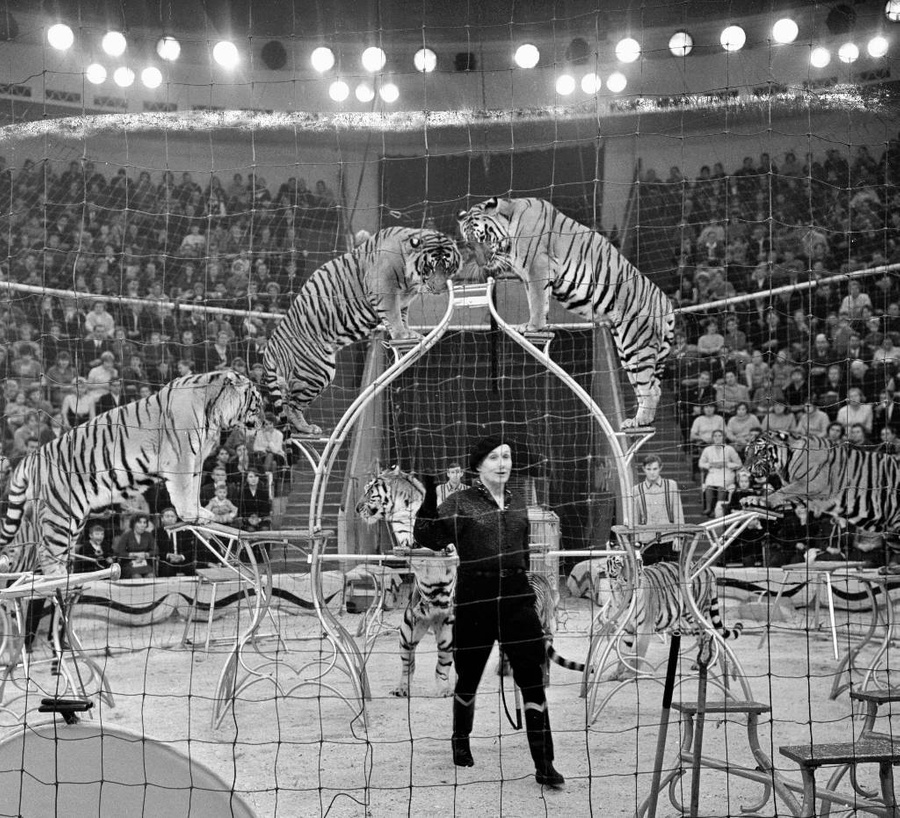 Какие шоу устраивали в СССР? 10 фото из советских цирков. Фото © Фотохроника ТАСС