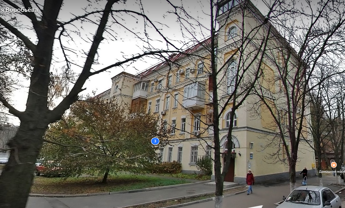 "Царский дом" на улице Геннадия Воробьёва. Фото © Yandex Maps