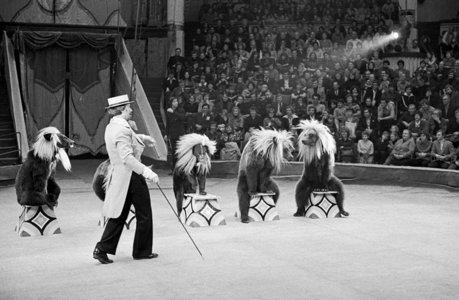 Путешествие во времени: архивные фото советских цирков. Фото © ТАСС / Александр Коньков