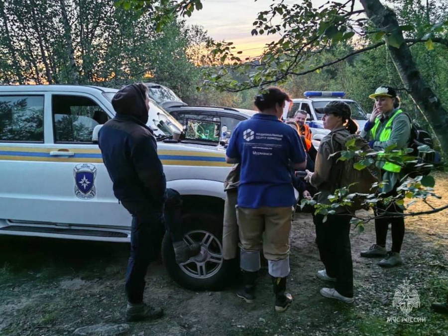 В Мурманской области ищут 67-летнего грибника. Обложка © Telegram / МЧС России