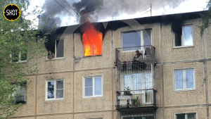 Поджёгшие квартиру петербуржцы проявили чудеса самообладания, спокойно ожидая МЧС на балконе