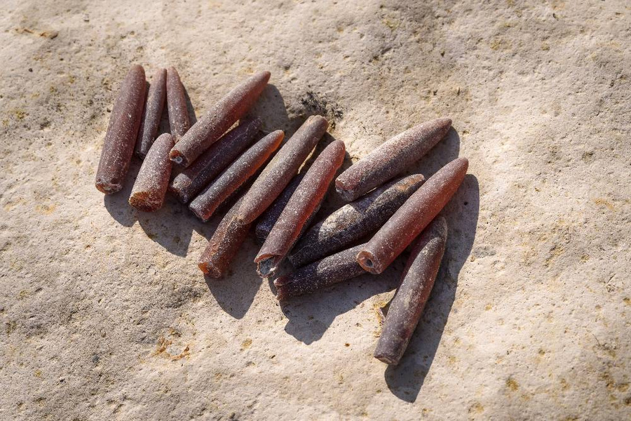 <p>"Чёртовы пальцы" белемнитов выглядят так же, как и "зубы динозавра", найденные московским рабочим. Обложка © Shutterstock</p>