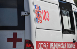 Москвич случайно отравил двух дочек вместо тараканов