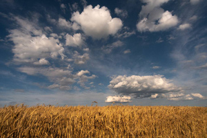 Польша может нарваться на европейские санкции, если продлит одно решение по Украине