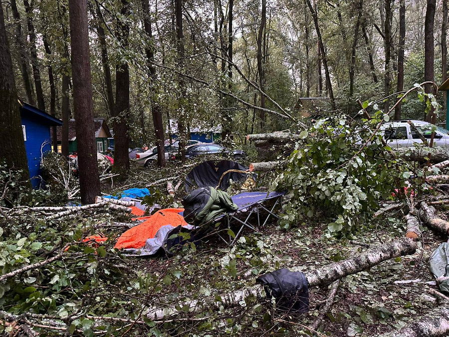 Последствия падения деревьев на палаточный городок базы отдыха "Митино". Обложка © t.me / Прокуратура Калужской области