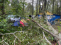 Последствия падения деревьев на палаточный городок базы отдыха "Митино". Фото © t.me / Прокуратура Калужской области