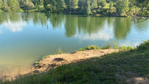 Тело 11-летней девочки нашли в московском пруду