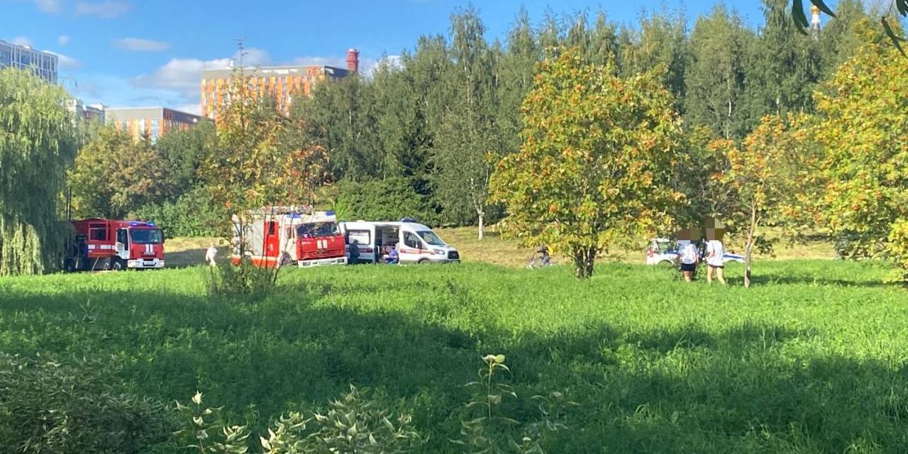 Экстренные службы у пруда в Москве, где утонула 11-летняя девочка. Фото © Telegram / Прокуратура Москвы