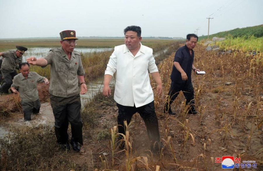 Ким Чен Ын на затопленных рисовых полях в Ончхоне. Фото © Kcna.kp