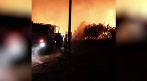 В Греции лесные пожары стали подбираться к очень важному для НАТО порту