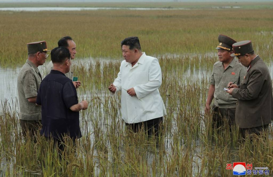 Ким Чен Ын в белом пиджаке залез в воду на затопленных рисовых полях в Ончхоне. Обложка © Kcna.kp