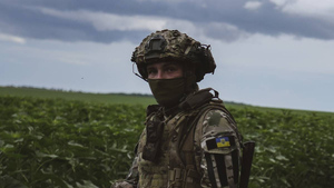 ВСУ потеряли 180 солдат в трёх безуспешных атаках на Донецком направлении