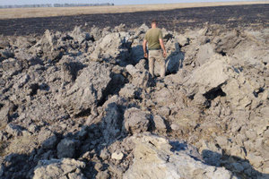 ВСУ ударили ракетой по заповеднику с краснокнижными животными в Херсонской области
