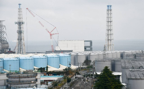 Физик предупредил об опасности японских морепродуктов из-за радиации