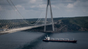 В Турции оценили идею запустить паромы между Херсонщиной и Зонгулдаком