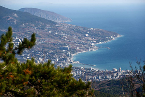 Зеленскому посоветовали забыть о Крыме