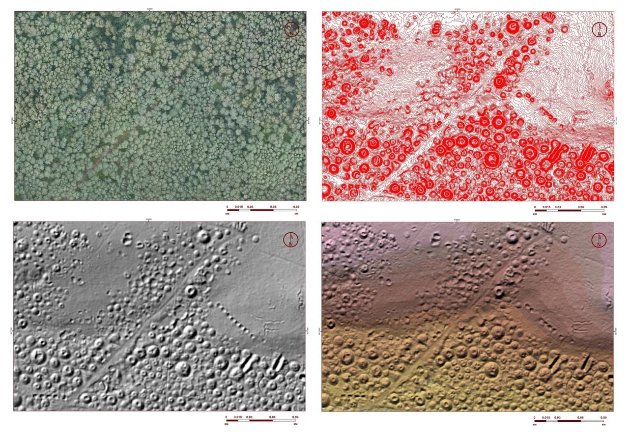 Вид сверху на лесную группу курганов Гнёздова и грунтовую дорогу после лидарной съёмки. Фото © Смоленско-Гнёздовская археологическая экспедиция