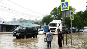 Видеорегистратор снял, как мужчину с головой утянуло в водоворот под машиной в Приморье