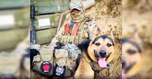 Собака Петровна прибилась к военным в зоне СВО, спасала им жизнь, но потом потерялась