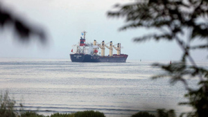 В Кремле ответили на вопрос о возобновлении зерновой сделки с участием Катара