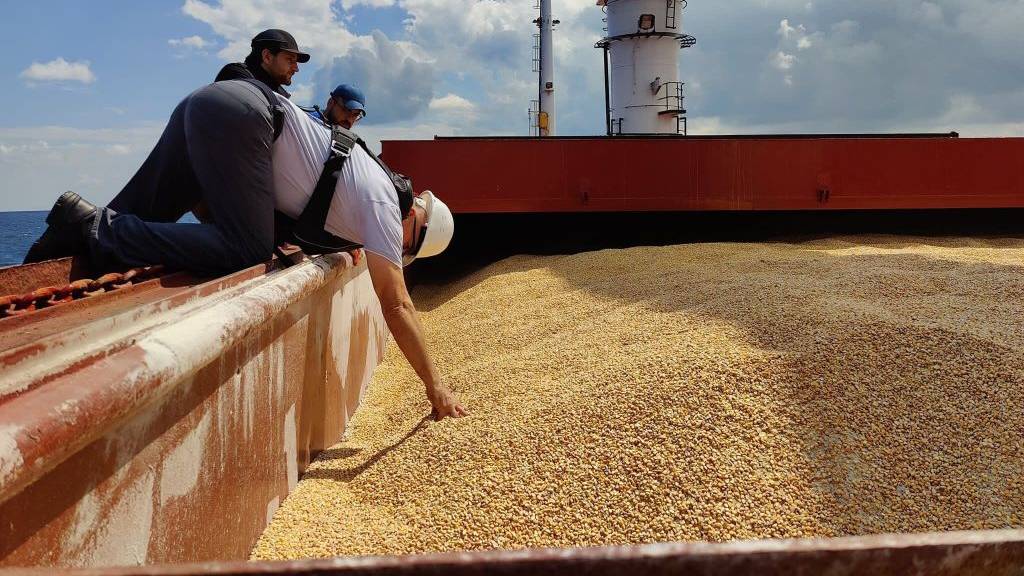 В МИД РФ рассказали об альтернативе зерновой сделке
