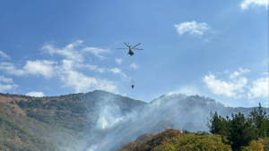 Площадь лесного пожара в Геленджике возросла до 118 гектаров