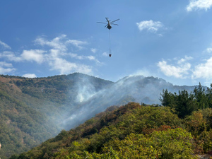 Крупный лесной пожар в Геленджике локализован