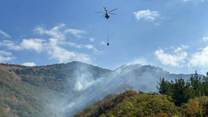 Названа причина масштабного лесного пожара в Геленджике
