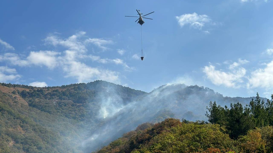 Борьба с пожаром в Геленджике. Фото © LIFE