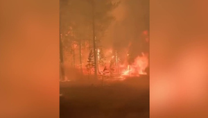 В Якутии 98 природных пожаров охватили 13 районов