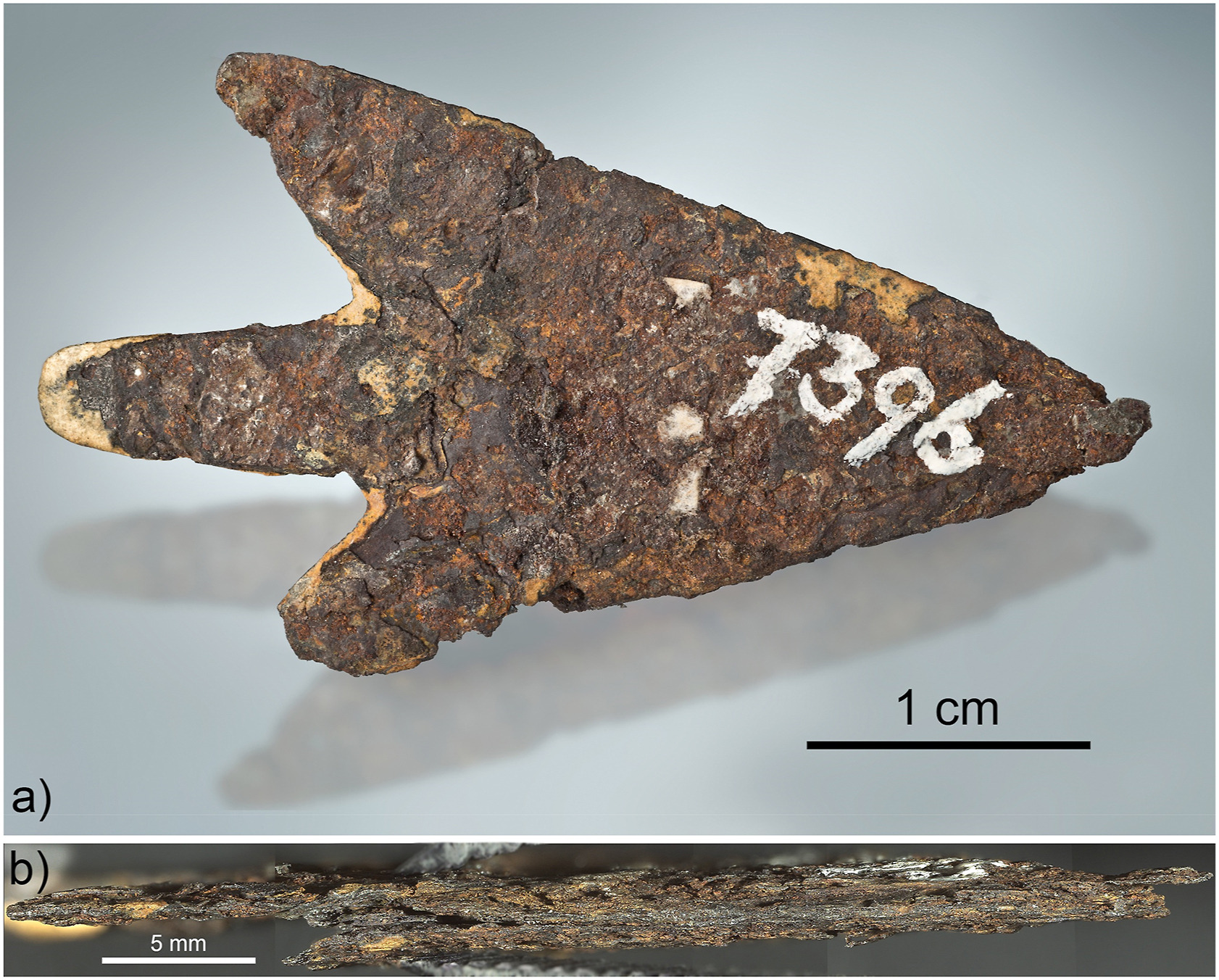 Экспонат Исторического музея Берна в Швейцарии.  Фото © ScienceDirect