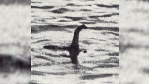 В Шотландии развёрнуты крупнейшие за полвека поиски лох-несского чудовища