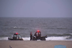 Акула напала на женщину на пляже в Нью-Йорке 