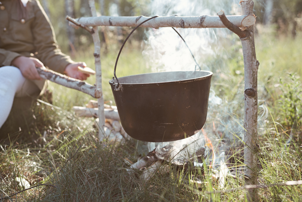 В голодные времена люди ели и не такое. Поэтому каша из берёзы — отдельное древнее лакомство. Фото © Shutterstock