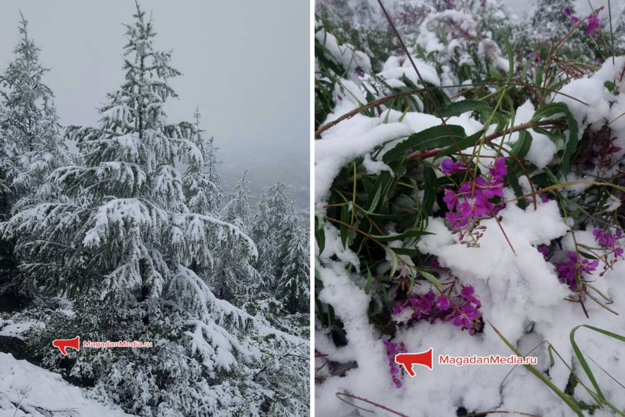Снег выпал в центральных районах Магаданской области. Кадр из видео © Telegram / MagadanMedia
