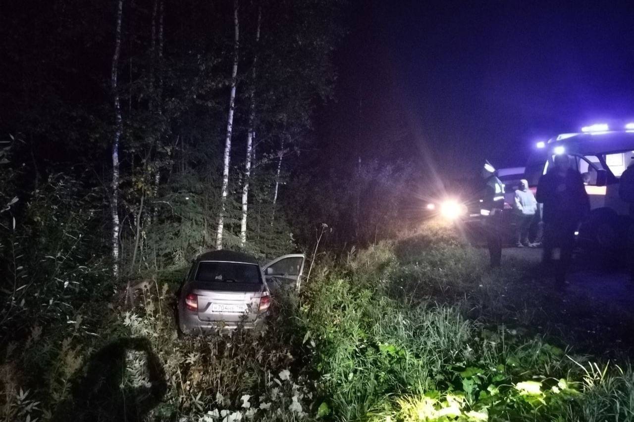 Водитель погиб после столкновения с лосем на трассе в Свердловской области