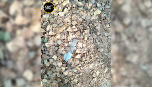 Лайф публикует эксклюзивные фото обломков дрона "Бобёр", сбитого в Подмосковье