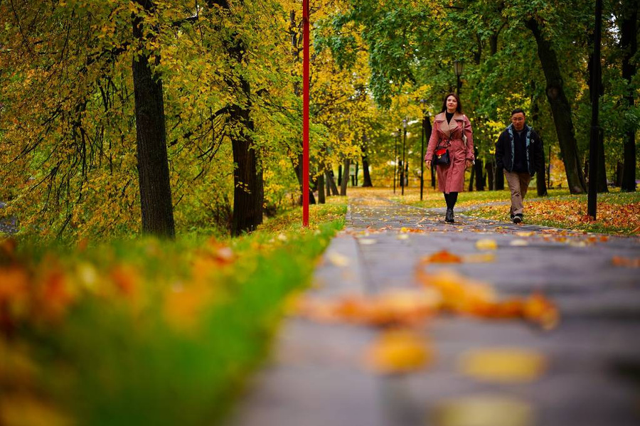 Осень в столичном парке. Обложка © АГН "Москва" / Александр Авилов