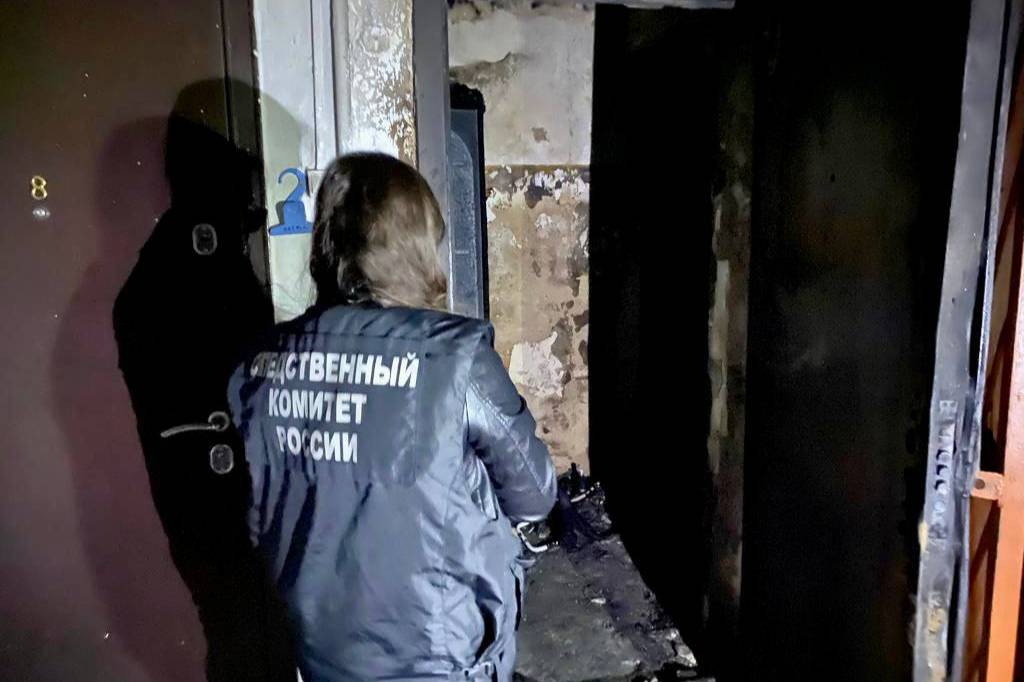 Пожар в Саратовской области унёс жизни трёх маленьких детей